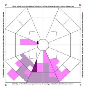 Extended DISC Profiling - Conscious Business Australia - Extended DISC ...